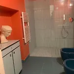 Palatonella *