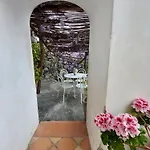 Palatonella